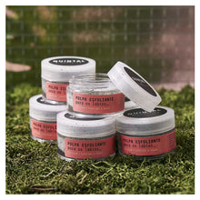 Cargar imagen en el visor de la galería, Exfoliante reparador para labios de Quintal